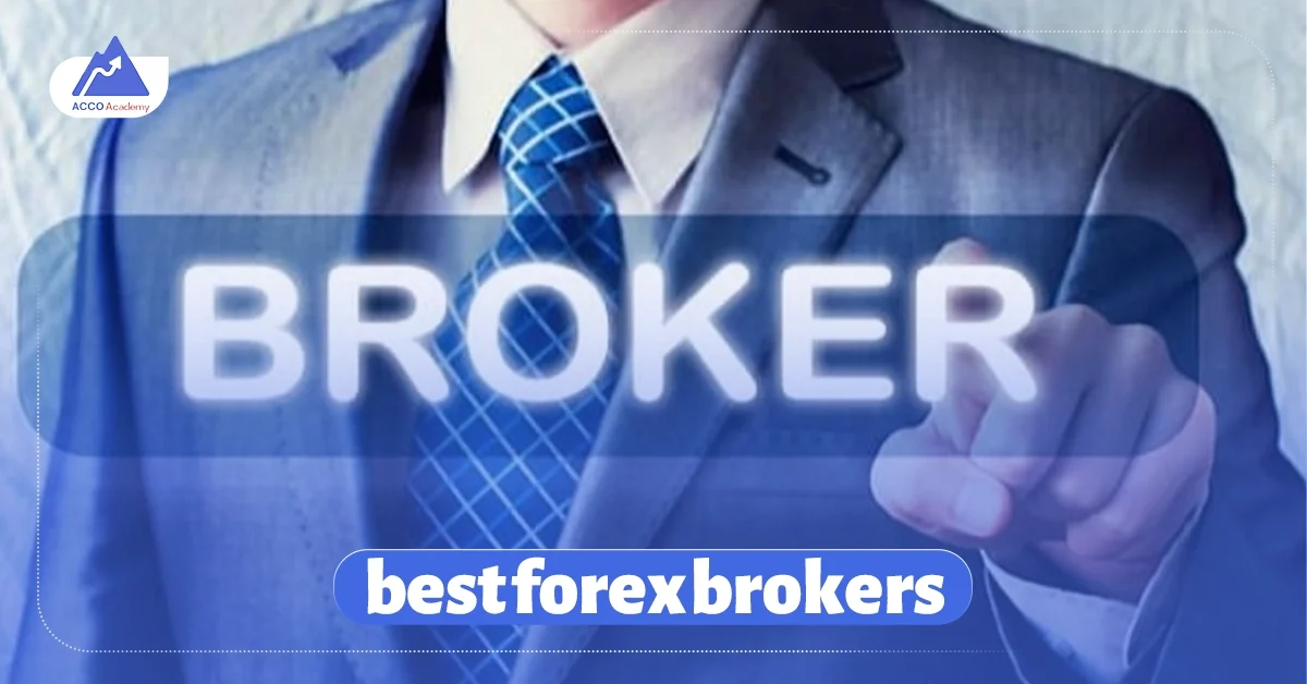 top 10 best forex brokers in the world