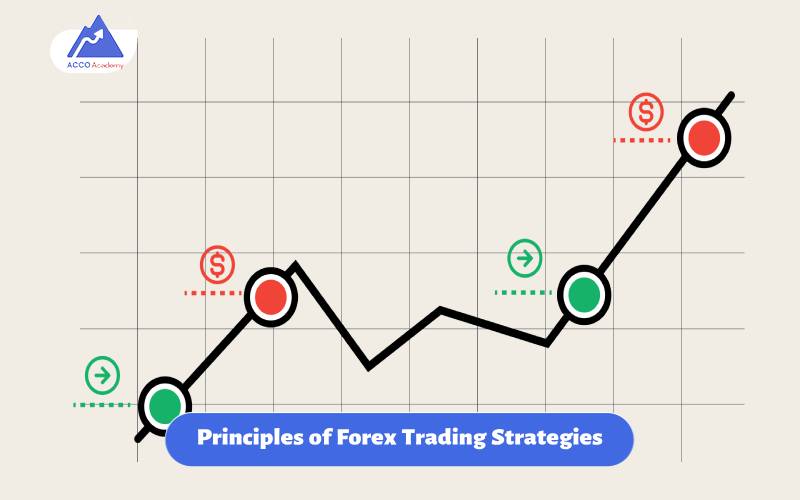 Principles of Forex Trading Strategies